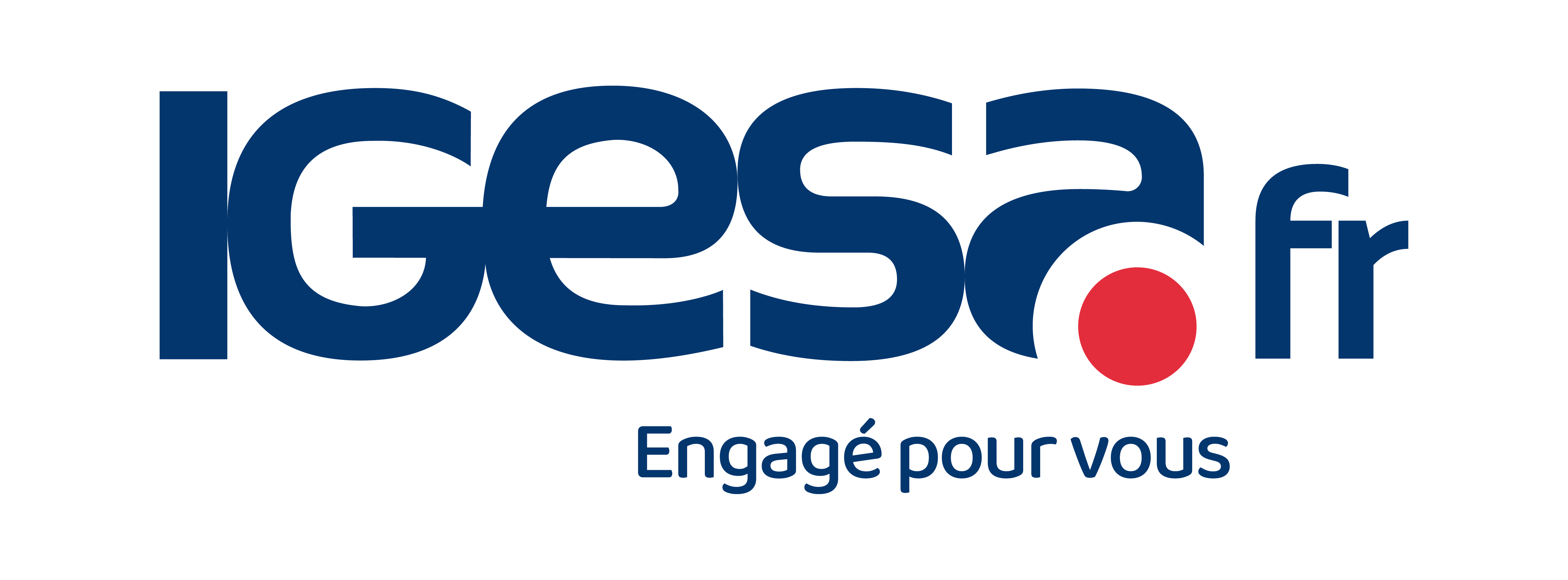 Page d’accueil du Centre d’aide Igesa